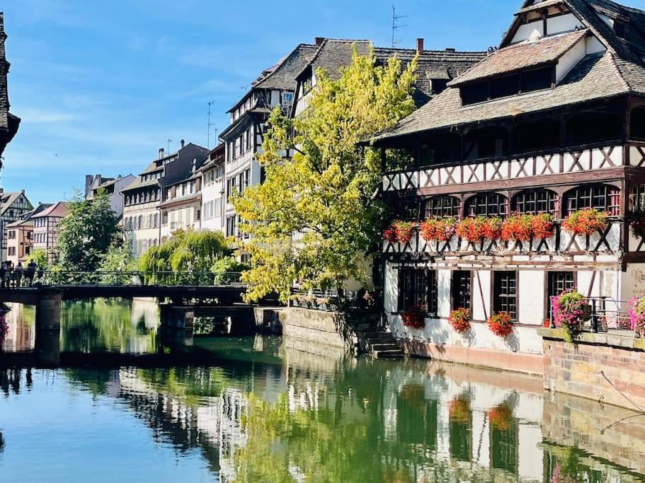 Petit Loft Du Faubourg National Apartment Strasbourg