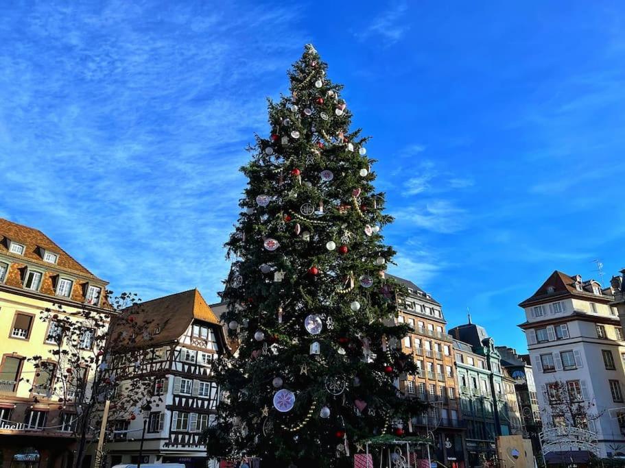 Apartment Petit Loft Du Faubourg National Strasbourg